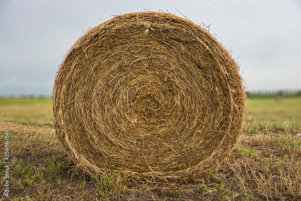 Hay stacks on green field Hay stacks on green field