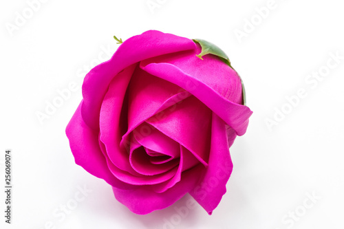 Crimson rose flower made from soap close-up isolated on white background