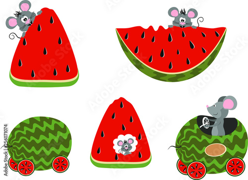 Sweet and ripe watermelon, which is eaten by mice. Concept of harm to agriculture by rodents