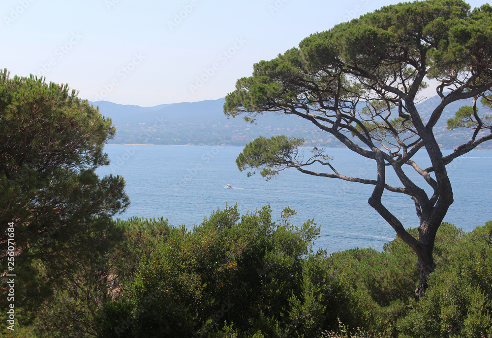 Great view of the Gulf of Saint-Tropez from a hill on a sunny summer day.