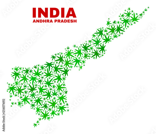 Vector cannabis Andhra Pradesh State map mosaic. Concept with green weed leaves for cannabis legalize campaign. Vector Andhra Pradesh State map is composed with cannabis leaves.