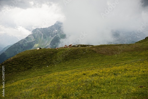 Half Dome Rock Landscape Meadow in Austria  © SL