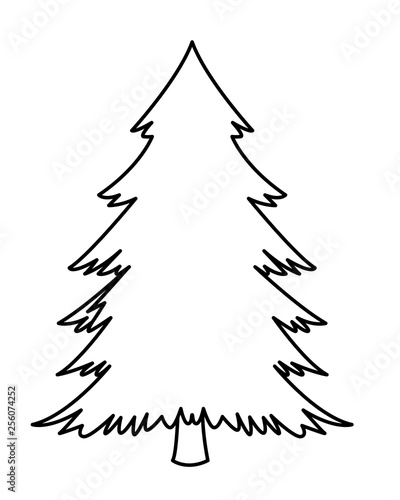 pine tree icon isolated black and white