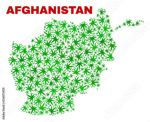 Vector marijuana Afghanistan map collage. Template with green weed leaves for weed legalize campaign. Vector Afghanistan map is organized with weed leaves.