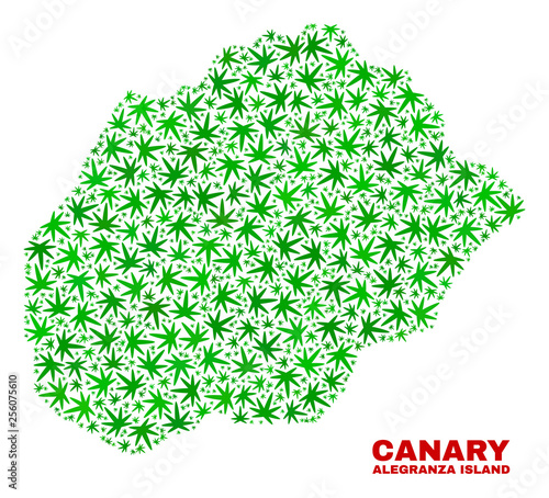 Vector cannabis Alegranza Island map collage. Template with green weed leaves for cannabis legalize campaign. Vector Alegranza Island map is composed with cannabis leaves.