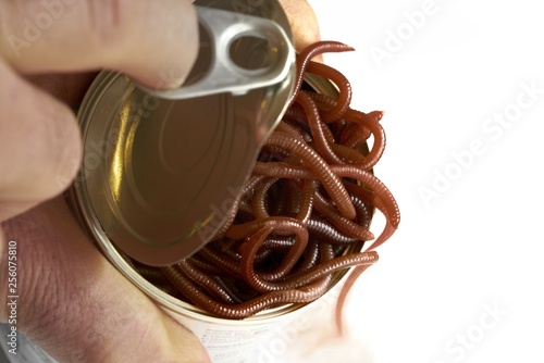 Opening a Can of Worms