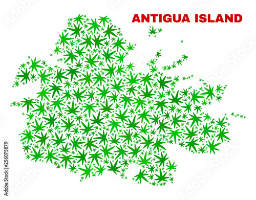 Vector cannabis Antigua Island map mosaic. Concept with green weed leaves for cannabis legalize campaign. Vector Antigua Island map is constructed of weed leaves.