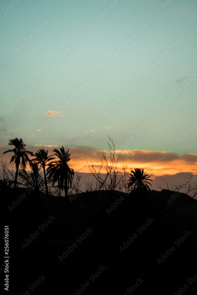 sunset with sky and Palm trees