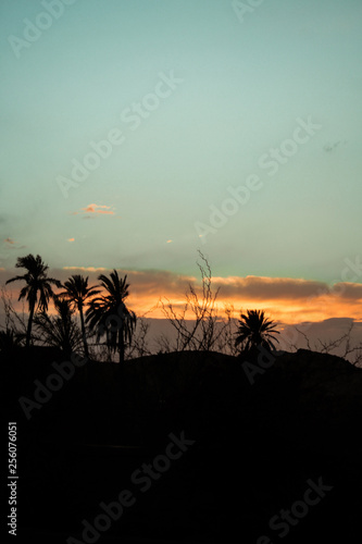 sunset with sky and Palm trees