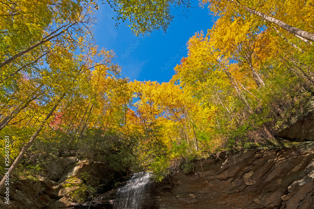 Fall Colors on the Cliff Top