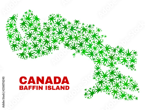 Vector cannabis Baffin Island map collage. Concept with green weed leaves for weed legalize campaign. Vector Baffin Island map is constructed of cannabis leaves.