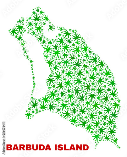 Vector cannabis Barbuda Island map mosaic. Template with green weed leaves for weed legalize campaign. Vector Barbuda Island map is designed with cannabis leaves.