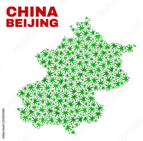 Vector marijuana Beijing City map collage. Template with green weed leaves for weed legalize campaign. Vector Beijing City map is organized with weed leaves.