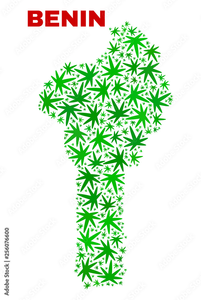 Vector cannabis Benin map mosaic. Concept with green weed leaves for marijuana legalize campaign. Vector Benin map is created with marijuana leaves. Vector cannabis Benin map mosaic. Concept with green weed leaves for marijuana legalize campaign. Vector Benin map is created with marijuana leaves.