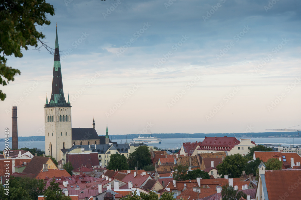 Tallinn Estonia beautiful view of the city, tiled roofs and the sea