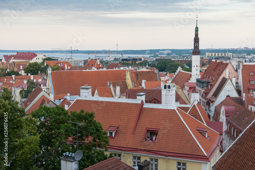 Tallinn Estonia beautiful view of the city, tiled roofs and the sea
