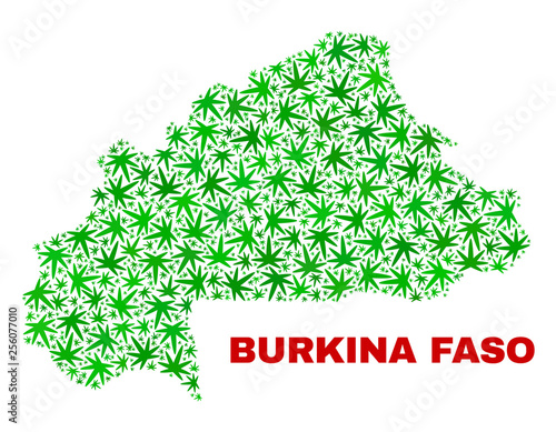Vector cannabis Burkina Faso map mosaic. Concept with green weed leaves for marijuana legalize campaign. Vector Burkina Faso map is designed with cannabis leaves.