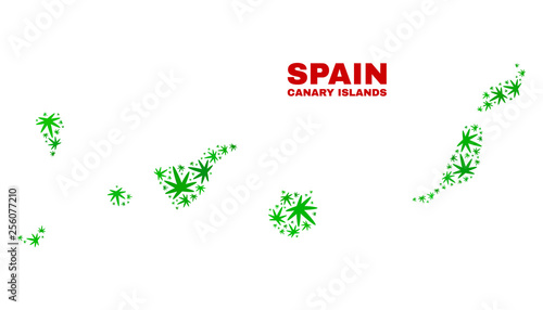 Vector cannabis Canary Islands map collage. Concept with green weed leaves for cannabis legalize campaign. Vector Canary Islands map is constructed with weed leaves.