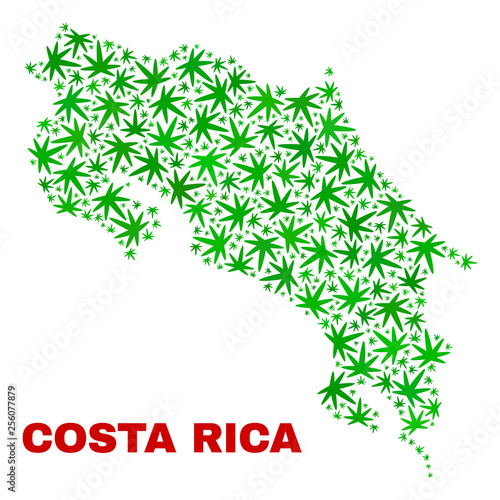 Vector cannabis Costa Rica map mosaic. Template with green weed leaves for weed legalize campaign. Vector Costa Rica map is constructed with cannabis leaves.