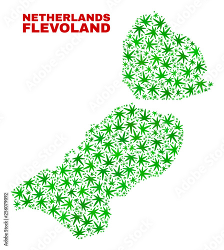 Vector marijuana Flevoland Province map mosaic. Template with green weed leaves for weed legalize campaign. Vector Flevoland Province map is constructed with weed leaves.