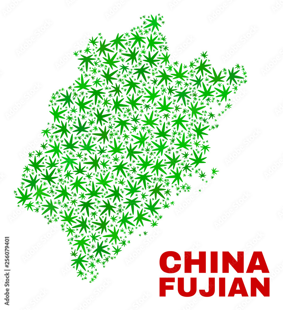 Vector cannabis Fujian Province map mosaic. Concept with green weed leaves for cannabis legalize campaign. Vector Fujian Province map is composed with weed leaves. Vector cannabis Fujian Province map mosaic. Concept with green weed leaves for cannabis legalize campaign. Vector Fujian Province map is composed with weed leaves.