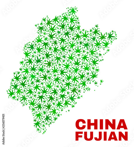 Vector cannabis Fujian Province map mosaic. Concept with green weed leaves for cannabis legalize campaign. Vector Fujian Province map is composed with weed leaves.