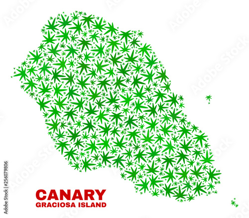 Vector marijuana Graciosa Island map mosaic. Template with green weed leaves for marijuana legalize campaign. Vector Graciosa Island map is formed with marijuana leaves.