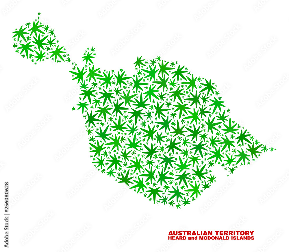 Vector marijuana Heard and McDonald Islands map collage. Concept with green weed leaves for marijuana legalize campaign. Vector Heard and McDonald Islands map is constructed with weed leaves. Vector marijuana Heard and McDonald Islands map collage. Concept with green weed leaves for marijuana legalize campaign. Vector Heard and McDonald Islands map is constructed with weed leaves.