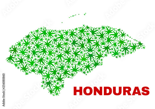 Vector marijuana Honduras map mosaic. Concept with green weed leaves for hemp legalize campaign. Vector Honduras map is designed with weed leaves.