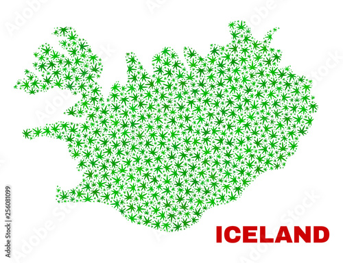 Vector cannabis Iceland map collage. Concept with green weed leaves for marijuana legalize campaign. Vector Iceland map is designed with cannabis leaves.