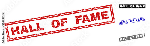 Grunge HALL OF FAME rectangle watermarks isolated on a white background. Rectangular seals with grunge texture in red, blue, black and gray colors.