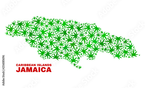 Vector marijuana Jamaica map collage. Concept with green weed leaves for weed legalize campaign. Vector Jamaica map is composed of weed leaves.