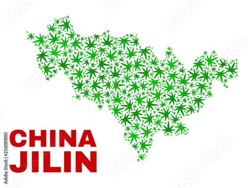 Vector cannabis Jilin Province map collage. Concept with green weed leaves for weed legalize campaign. Vector Jilin Province map is organized with marijuana leaves.