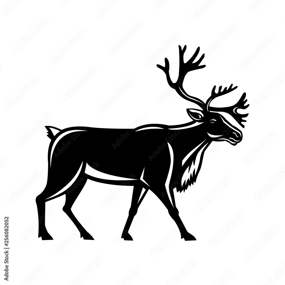 Obraz premium Retro style illustration of a reindeer, also known as the caribou in North America, walking viewed from side on isolated background.