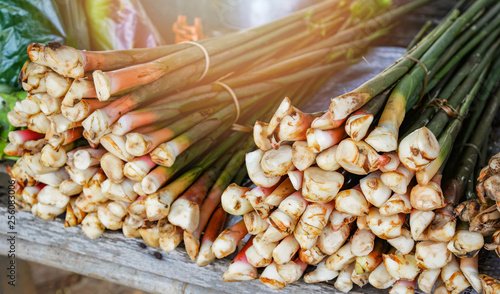 Billede på lærred Fresh trunk young galangal from agriculture farm vegetable organic galangal in t