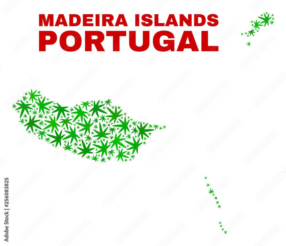 Vector cannabis Madeira Islands map mosaic. Template with green weed leaves for weed legalize campaign. Vector Madeira Islands map is composed with herbal leaves.