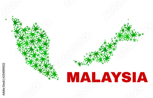 Vector marijuana Malaysia map mosaic. Template with green weed leaves for marijuana legalize campaign. Vector Malaysia map is constructed with marijuana leaves.