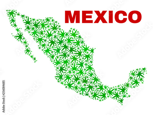Vector marijuana Mexico map mosaic. Template with green weed leaves for weed legalize campaign. Vector Mexico map is organized with marijuana leaves.