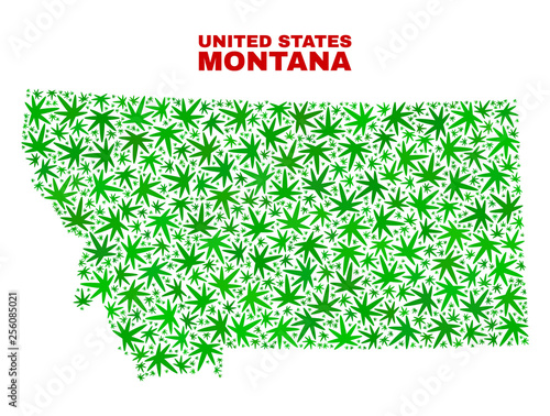 Vector cannabis Montana State map collage. Template with green weed leaves for hemp legalize campaign. Vector Montana State map is designed with cannabis leaves.