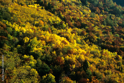 Terlan (Prov. Bozen), herbstliche Berghänge, Herbstfarben