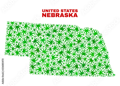 Vector cannabis Nebraska State map collage. Template with green weed leaves for cannabis legalize campaign. Vector Nebraska State map is created with cannabis leaves.
