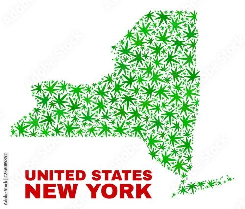 Vector marijuana New York State map mosaic. Concept with green weed leaves for weed legalize campaign. Vector New York State map is constructed of weed leaves.