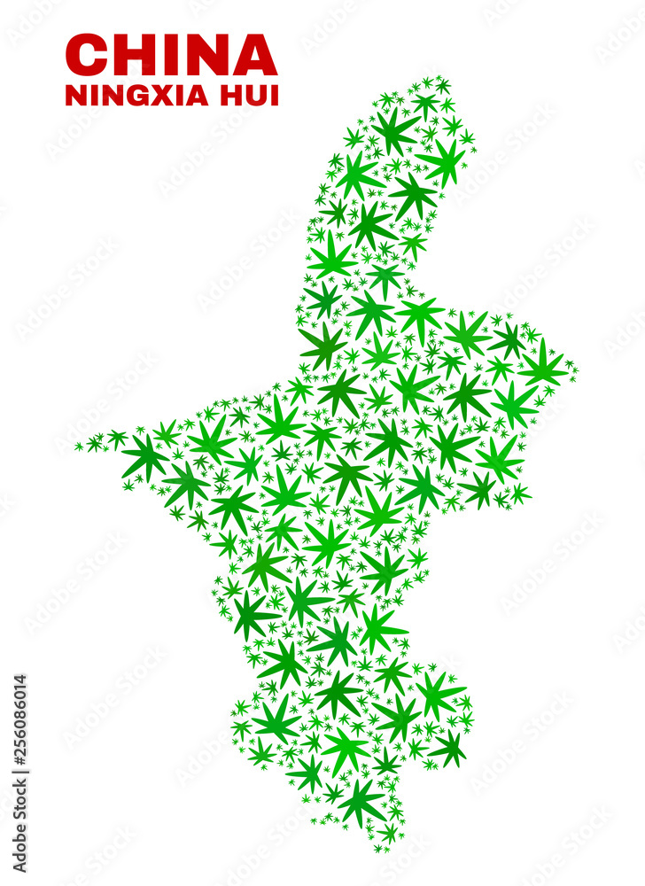 Vector cannabis Ningxia Hui Region map collage. Concept with green weed leaves for hemp legalize campaign. Vector Ningxia Hui Region map is composed with cannabis leaves. Vector cannabis Ningxia Hui Region map collage. Concept with green weed leaves for hemp legalize campaign. Vector Ningxia Hui Region map is composed with cannabis leaves.