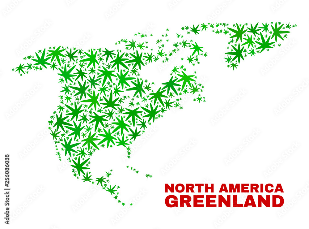Vector cannabis North America and Greenland map collage. Template with green weed leaves for cannabis legalize campaign. Vector North America and Greenland map is constructed with cannabis leaves.