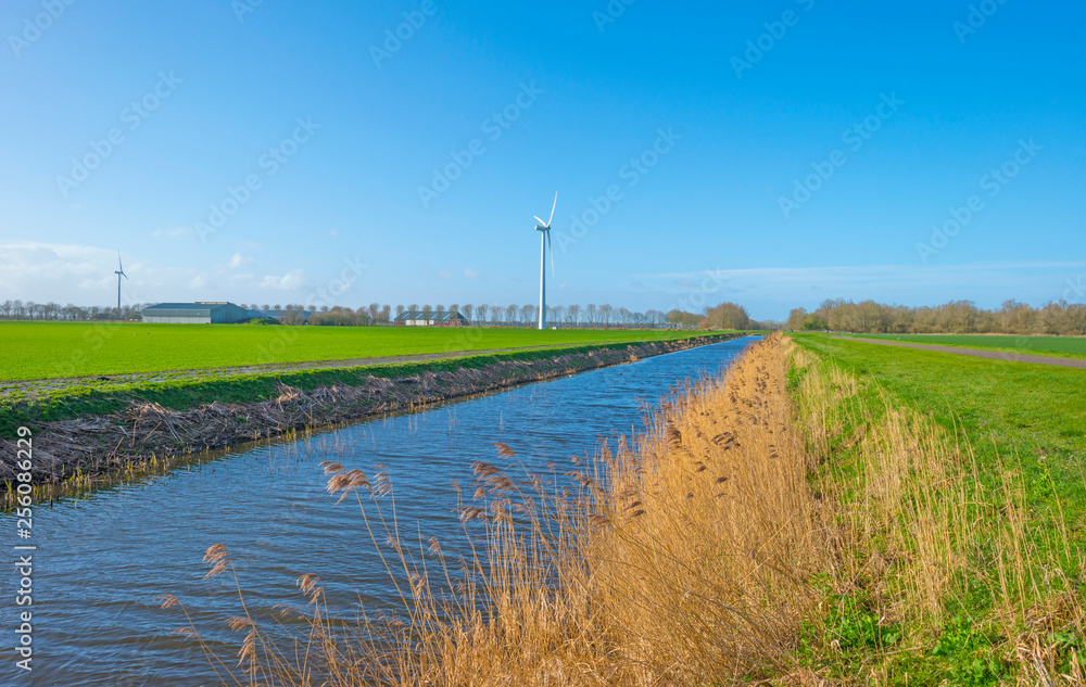 Canal through a meadow in sunlight below a blue sky in winter