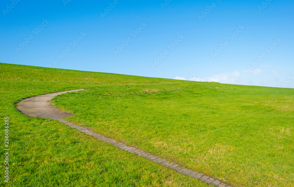 Path on a green dike in the countryside in sunlight in winter Path on a green dike in the countryside in sunlight in winter