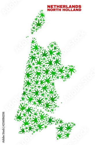 Vector cannabis North Holland map collage. Concept with green weed leaves for cannabis legalize campaign. Vector North Holland map is constructed with weed leaves.