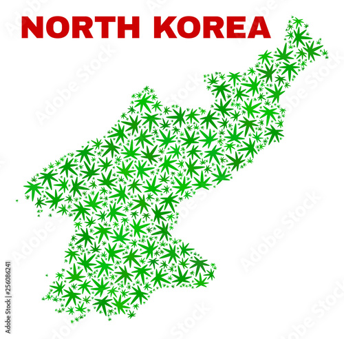 Vector cannabis North Korea map collage. Template with green weed leaves for weed legalize campaign. Vector North Korea map is organized with cannabis leaves.