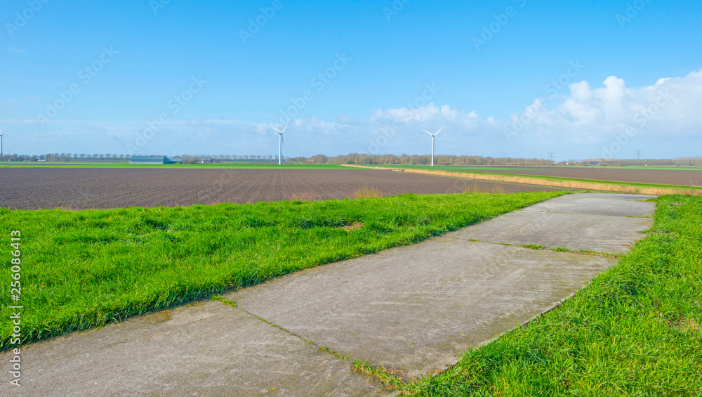Path on a green dike in the countryside in sunlight in winter
