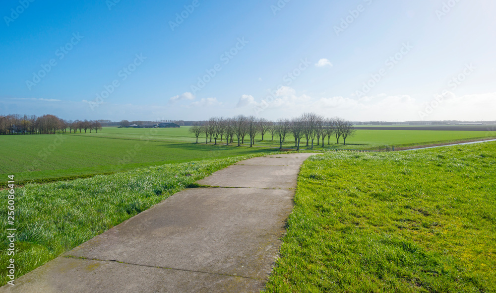 Path on a green dike in the countryside in sunlight in winter